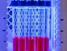 Azula-Photoreaktor mit Photokatalysatoren (rote Lösung) die mit blauem LED Licht kontrolliert bestrahlt werden