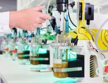 Herstellung von fermentativem Biotin im Labor