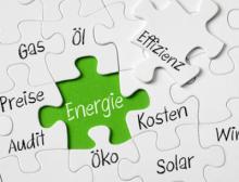 Energy Efficiency Award: Im Mittelpunkt des Wettbewerbs stehen Erfolge bei der Umsetzung der Energiewende