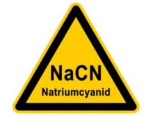 Einweihung der Produktionsanlage für Natriumcyanid in Coatzacoalcos, Veracruz, Mexiko